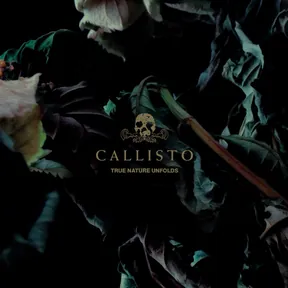 Callisto photo