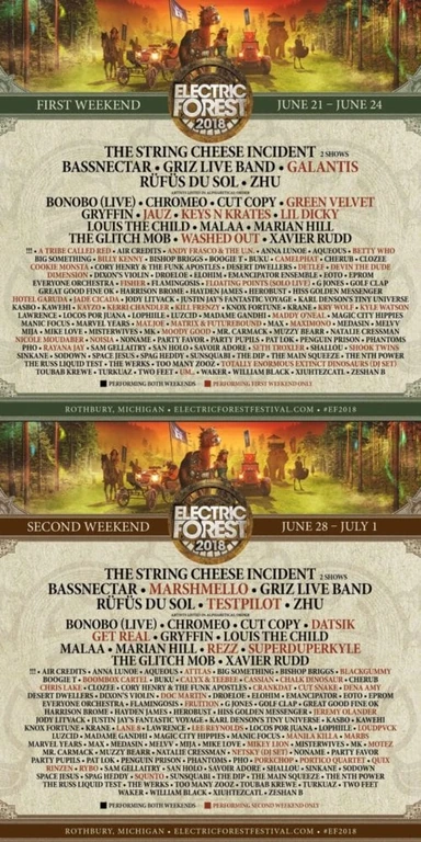 Electric Forest 2018 W2